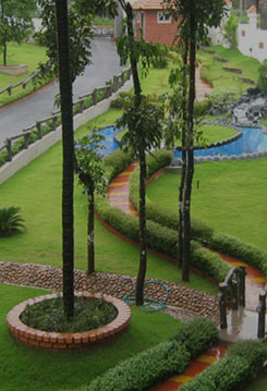 landscape design